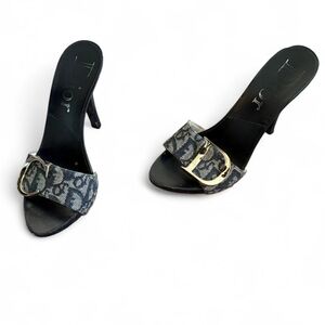 Dior Monogram Heels
